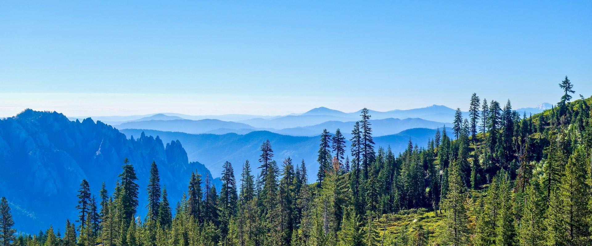 Our Team of Registered Investment Advisors Sumnicht & Associates